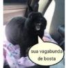 Sapecagens 25