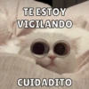 TE ESTOY VIGILANDO CUIDADITO