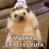 Cumpleaños🥳 10
