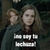 Harry Potter 🪄 15