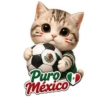 Vamos México ⚽✨🇲🇽 12