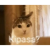 Memes de pelos  22