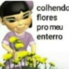 Vc precisa dessas figurinhas 15