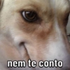 PRA USAR NO ZAP 😜 5
