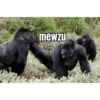 mewzu