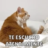 TE ESCUCHO
ATENTAMENTE