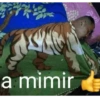 a mimir