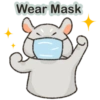 Wear Mask