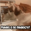 Puedes o no mediocre?
