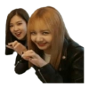 Blackpink Memes#1 27