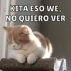 KITA ESO WE, NO QUIERO VER