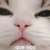 que rico