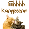 Kucing Lucu 10