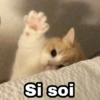 Si soi @Har cy Stickers