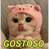 GOSTOSO