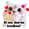 Super tiernos ❤️ 14