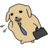 Nudaeng 🐶 Coreano Chamba 10