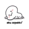 리
aku capekk:/