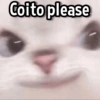 Coito please