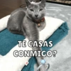 123
TE CASAS
CONMIGO?