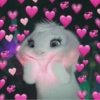 Memes fofos 💖 9