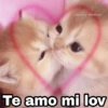 @Harley Stickers Te amo mi lov