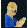 Meme anjing 14