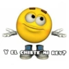 La Bolita Amarilla🤣 12