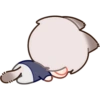 Xavier Kitty 7