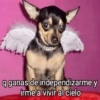 Cuadraditos pa usté 14