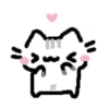 Cute kitty 10