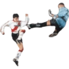 River plate  23