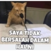 Niknok 8