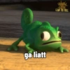 Pascal 5