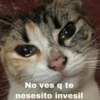 No ves q te
nesesito invesil