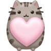 Pusheen Pink 🩷🩷 12
