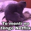 Te mentí no tengo Netflix @Harley Stickers