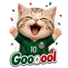 Vamos México ⚽✨🇲🇽 5