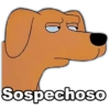 Sospechoso