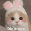 Ola te amo