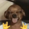 Tiktok Reaction Meme 5