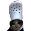 Gatitos Tiernos 😍🤯✨ 12