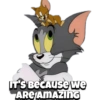 Tom and Jerry 14