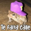 💫 MEMES PACK 1 👻🤑 7