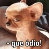 ATUALIZE SEUS MEMES  14