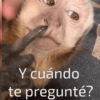 Y cuándo te pregunté?