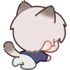 Xavier Kitty 8