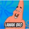Petrik 24