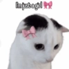 Coquette pink aesthetic 15
