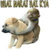 POPULAR FUNNY MEMES 7